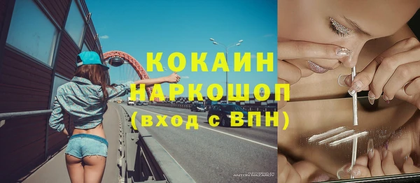 тгк Алексин